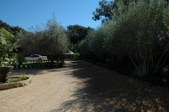 Enlarge photo 75