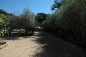 Enlarge photo 76