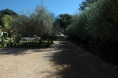 Enlarge photo 77
