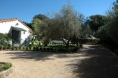 Enlarge photo 78