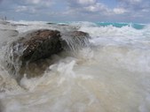 Enlarge photo 159