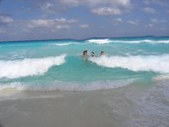 Enlarge photo 160