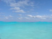 Enlarge photo 176