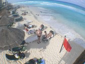 Enlarge photo 182