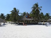 Enlarge photo 202