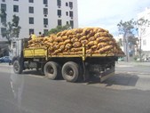 Enlarge photo 29