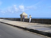 Enlarge photo 53