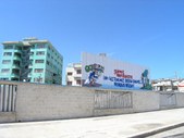 Enlarge photo 65