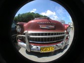Enlarge photo 85