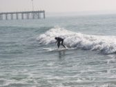 Cedric Surfing