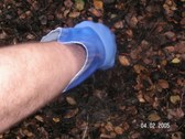 Enlarge photo 2