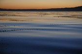 Enlarge photo 67