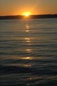 Enlarge photo 71