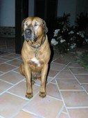 Enlarge photo 43