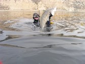 Enlarge photo 23