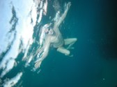 Enlarge photo 39
