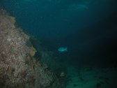Enlarge photo 49