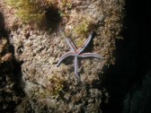 Enlarge photo 51