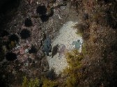Enlarge photo 53
