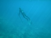 Freediving Cabo