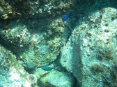 Enlarge photo 61