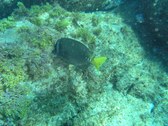 Enlarge photo 43