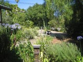 Enlarge photo 34