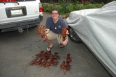 Lobster Opener 2005