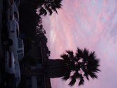 New Stuff Jan 20th