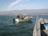Enlarge photo 16