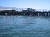 Enlarge photo 33