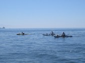 Enlarge photo 40