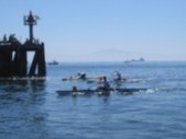 Enlarge photo 41