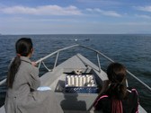 Enlarge photo 17