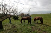 Enlarge photo 18