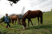 Enlarge photo 23