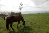 Enlarge photo 29