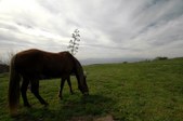 Enlarge photo 33