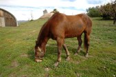Enlarge photo 36