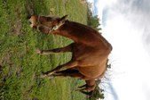 Enlarge photo 41