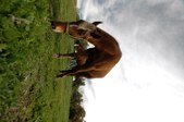 Enlarge photo 43