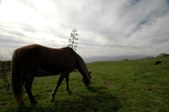 Enlarge photo 46