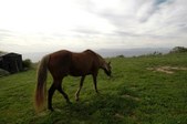 Enlarge photo 49