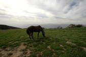 Enlarge photo 50