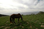Enlarge photo 51