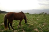 Enlarge photo 52