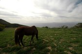 Enlarge photo 53