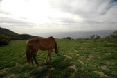 Enlarge photo 54