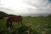 Enlarge photo 55
