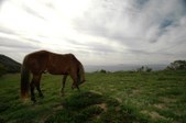 Enlarge photo 56